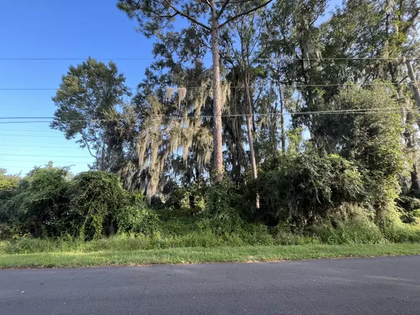 Debary, FL 32713,262 Toms RD