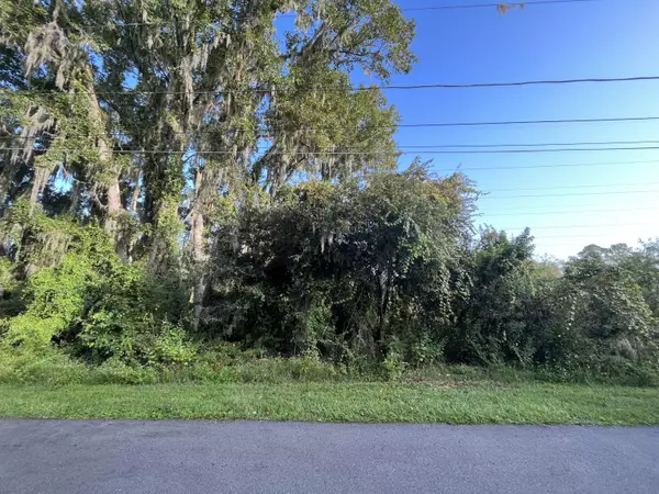 Debary, FL 32713,264 Toms RD