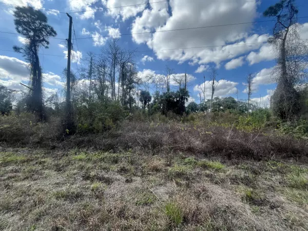 672 Stanwin LOOP, Lehigh Acres, FL 33972