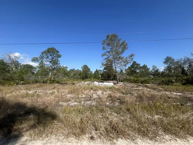 203 Raven AVE, Sebring, FL 33870