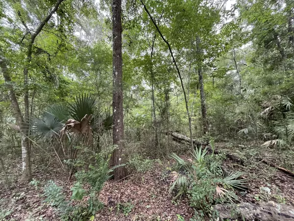 Ocala, FL 34475,Tbd NW 65th ST