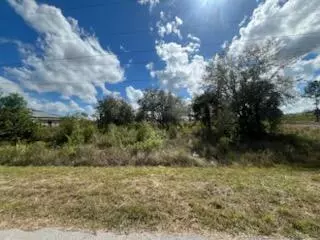 Lehigh Acres, FL 33972,1928 Vesper CT