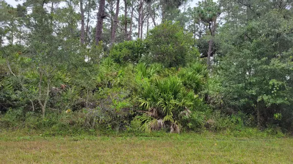 Ocala, FL 34471,501 SE 25th AVE