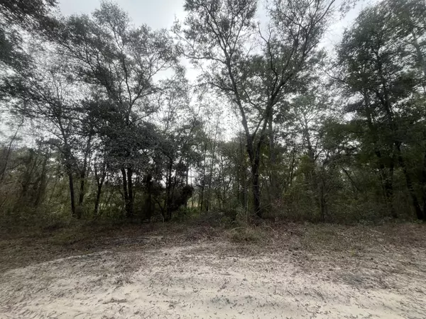 Interlachen, FL 32148,150 Quail DR