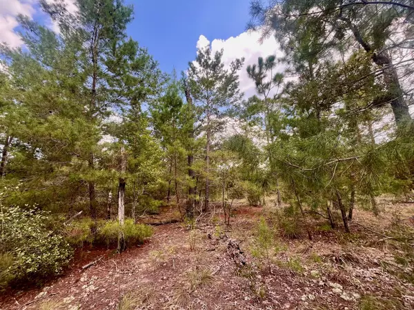 Interlachen, FL 32148,204 Glasgow ST