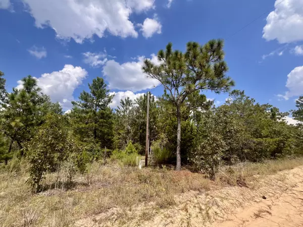 Interlachen, FL 32148,204 Glasgow ST