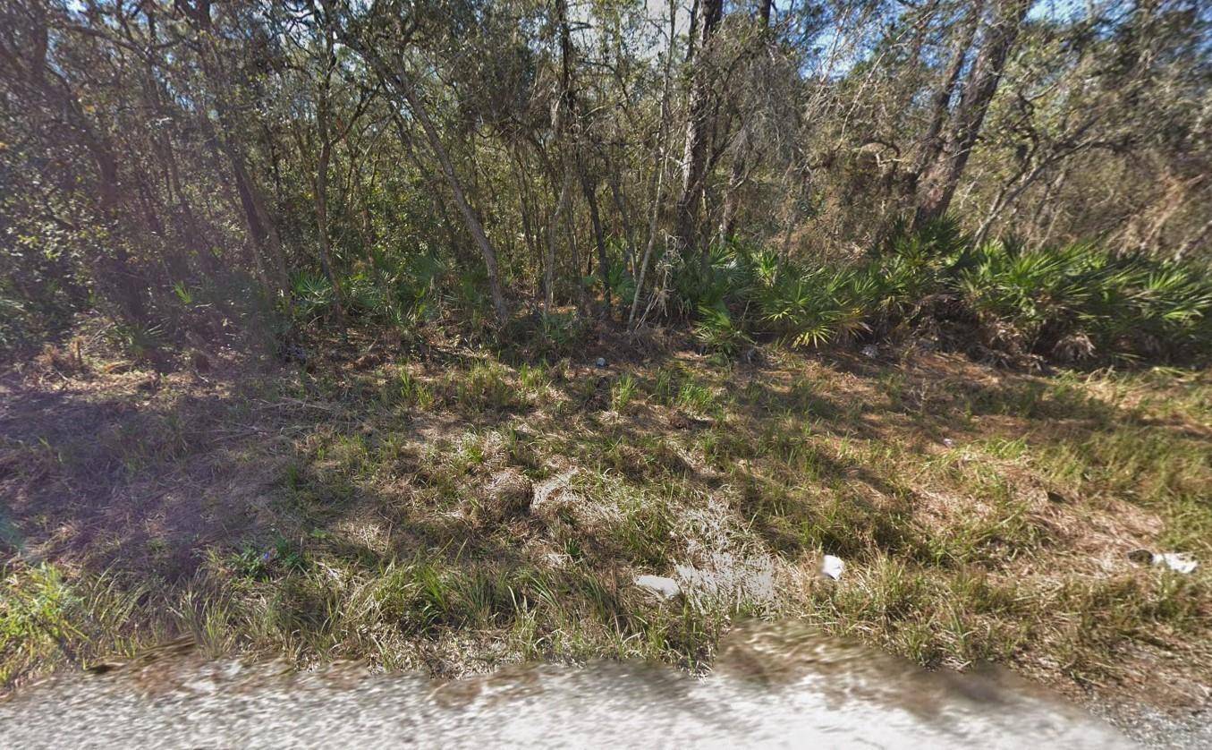 New Port Richey, FL 34654,Tbd Shalimar ST