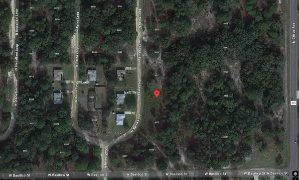 Crystal River, FL 34428,8681 N Reina LOOP