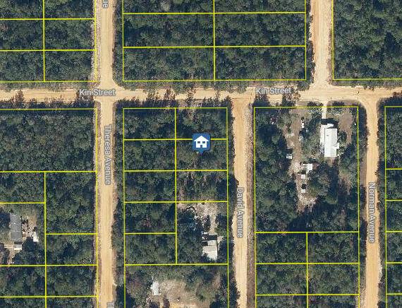 Lot 31 David AVE, Interlachen, FL 32148