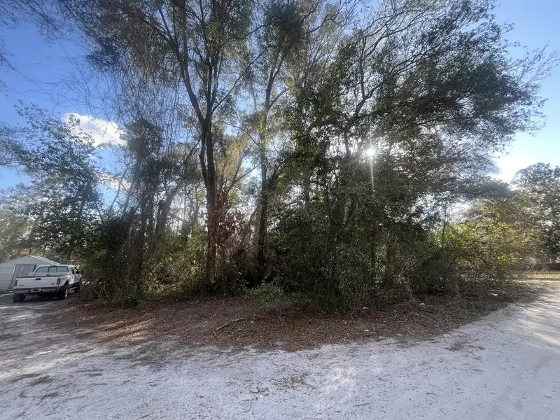 0 SE 143rd, Summerfield, FL 34491