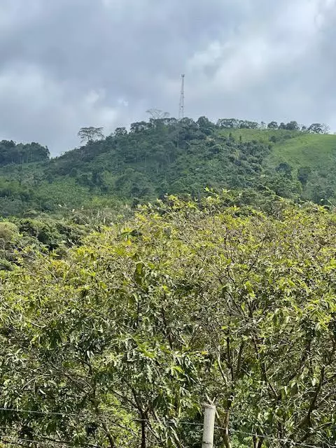 Out Of Country, 00000,Colombia El Hatillo, Mariquita, Tol, Co