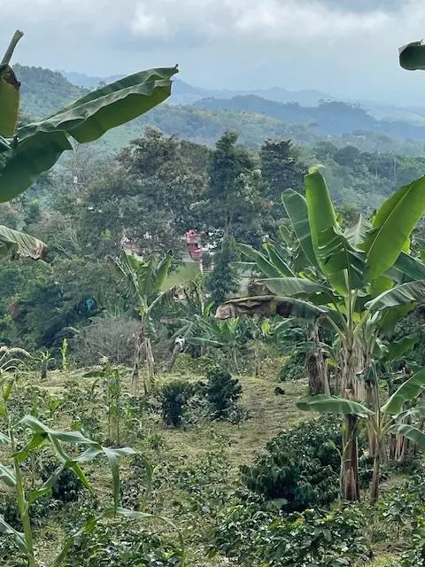 Out Of Country, 00000,Colombia El Hatillo, Mariquita, Tol, Co