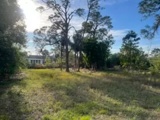 Lake Placid, FL 33852,500 Serenade TER