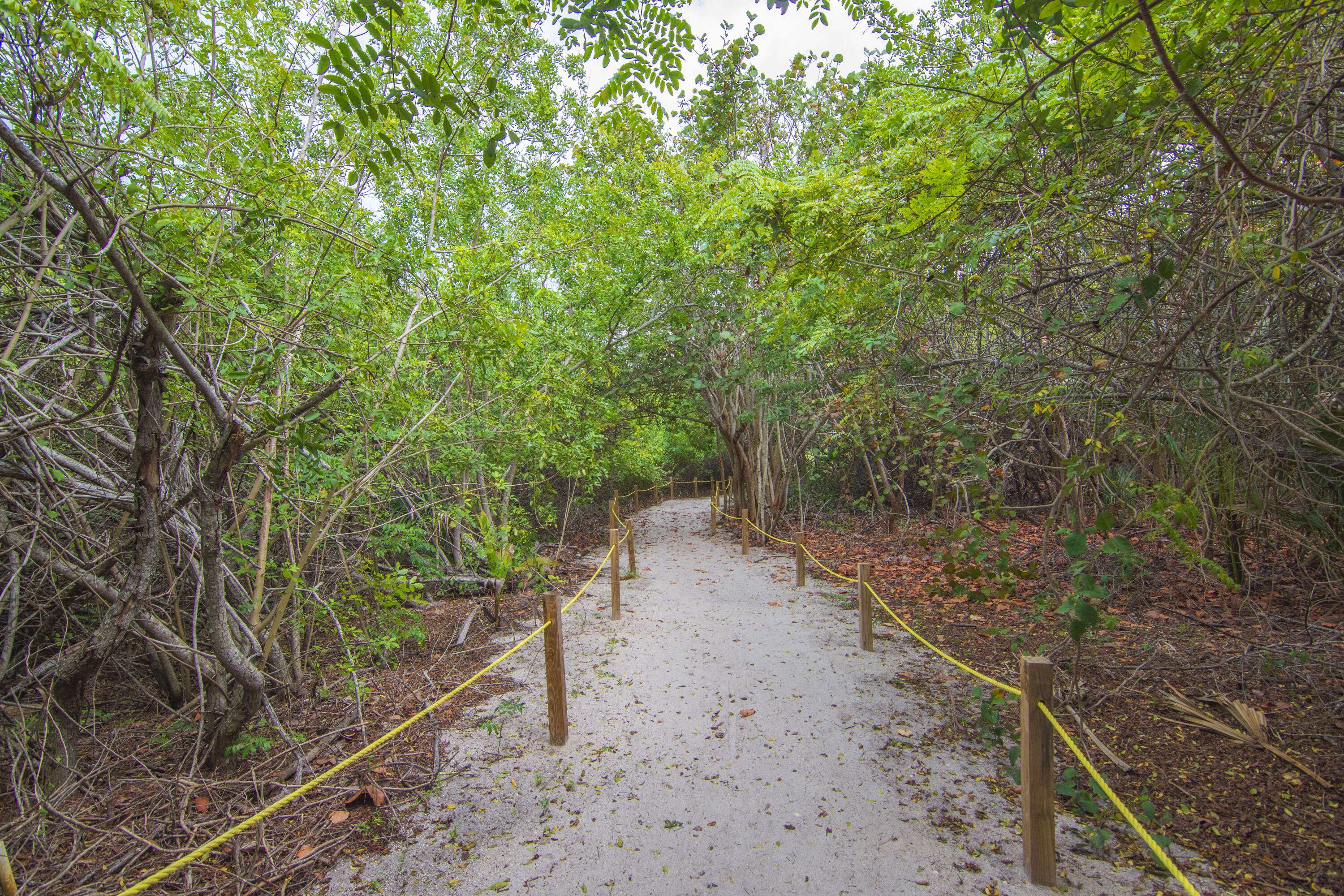 Hutchinson Island, FL 34949,2504 Atlantic Beach BLVD 2b