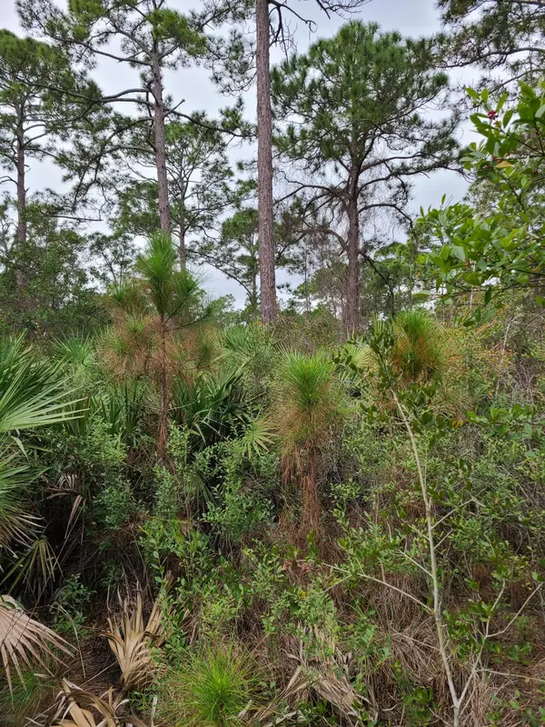 Vero Beach, FL 32967,5375 69th ST