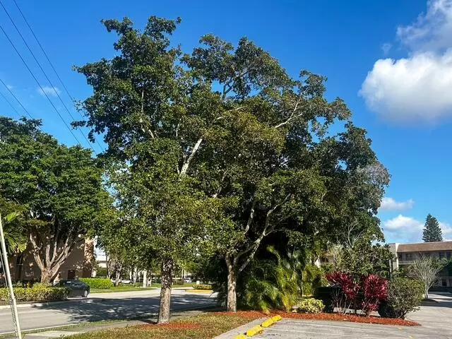 Sunrise, FL 33322,10332 Sunrise Lakes BLVD 111