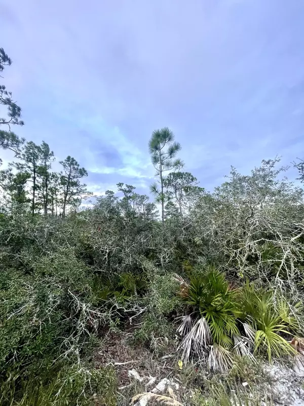 Sebring, FL 33875,3434 Alachua AVE