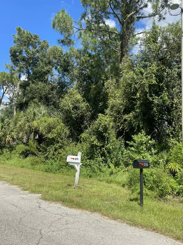 Lehigh Acres, FL 33972,1018 Wells AVE