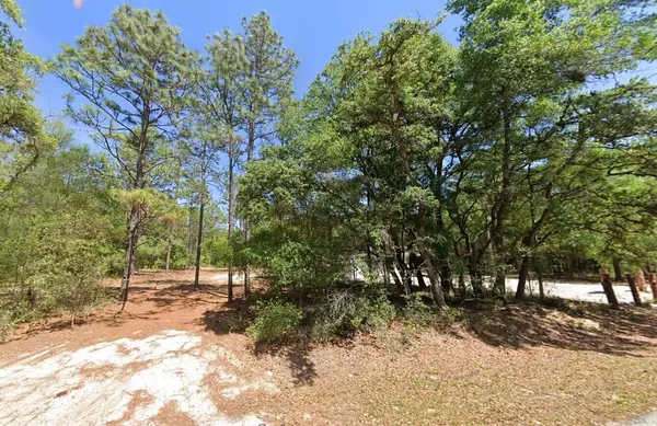 Dunnellon, FL 34431,0 204th