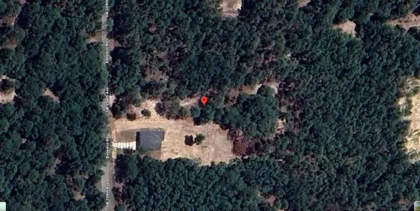 Dunnellon, FL 34431,0 204th