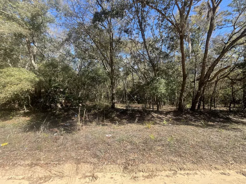 Tbd Beaven, Interlachen, FL 32148