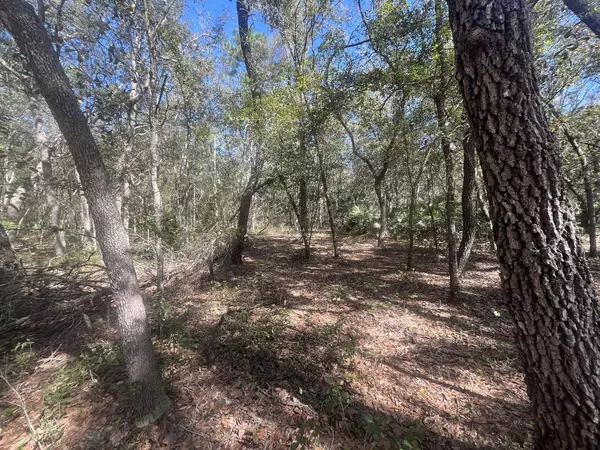 Interlachen, FL 32148,Tbd Beaven