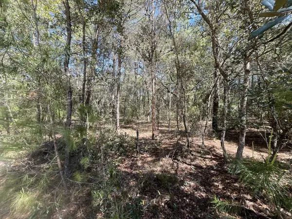 Interlachen, FL 32148,Tbd Louise