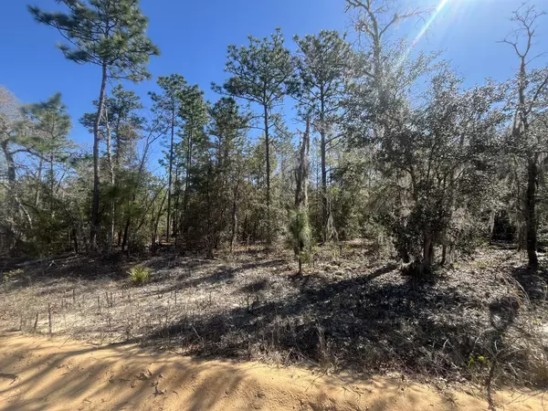 Interlachen, FL 32148,Tbd Kitty AVE 11