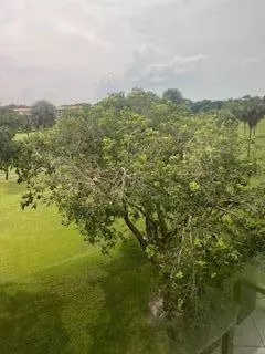 Coconut Creek, FL 33066,3003 Portofino Isle(s) B4