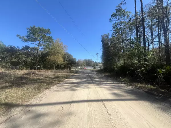 Interlachen, FL 32148,Tbd Scott ST