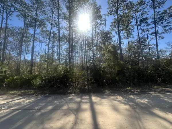 Interlachen, FL 32148,Tbd Scott ST