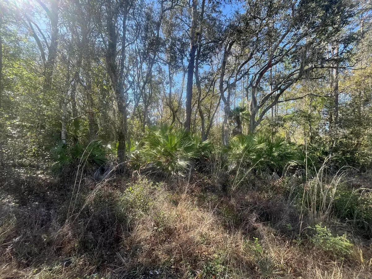 Interlachen, FL 32148,Tbd Scott ST