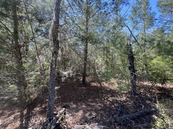 Interlachen, FL 32148,Tbd Shappell AVE