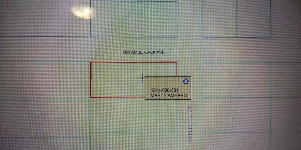 Dunnellon, FL 34431,00 NW Redwood RD