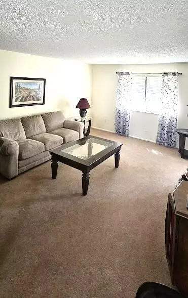 Royal Palm Beach, FL 33411,163 Pinto Palm CT 02