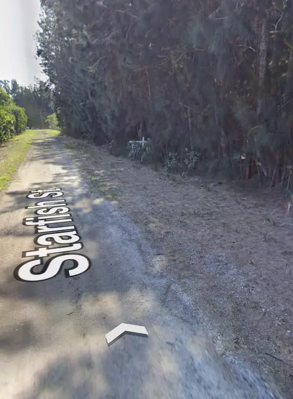Palm Bay, FL 32908,864 Starfish ST