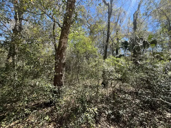 Interlachen, FL 32148,Tbd Walker DR 5