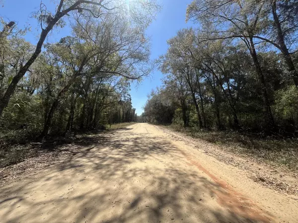 Interlachen, FL 32148,Tbd Walker DR 5