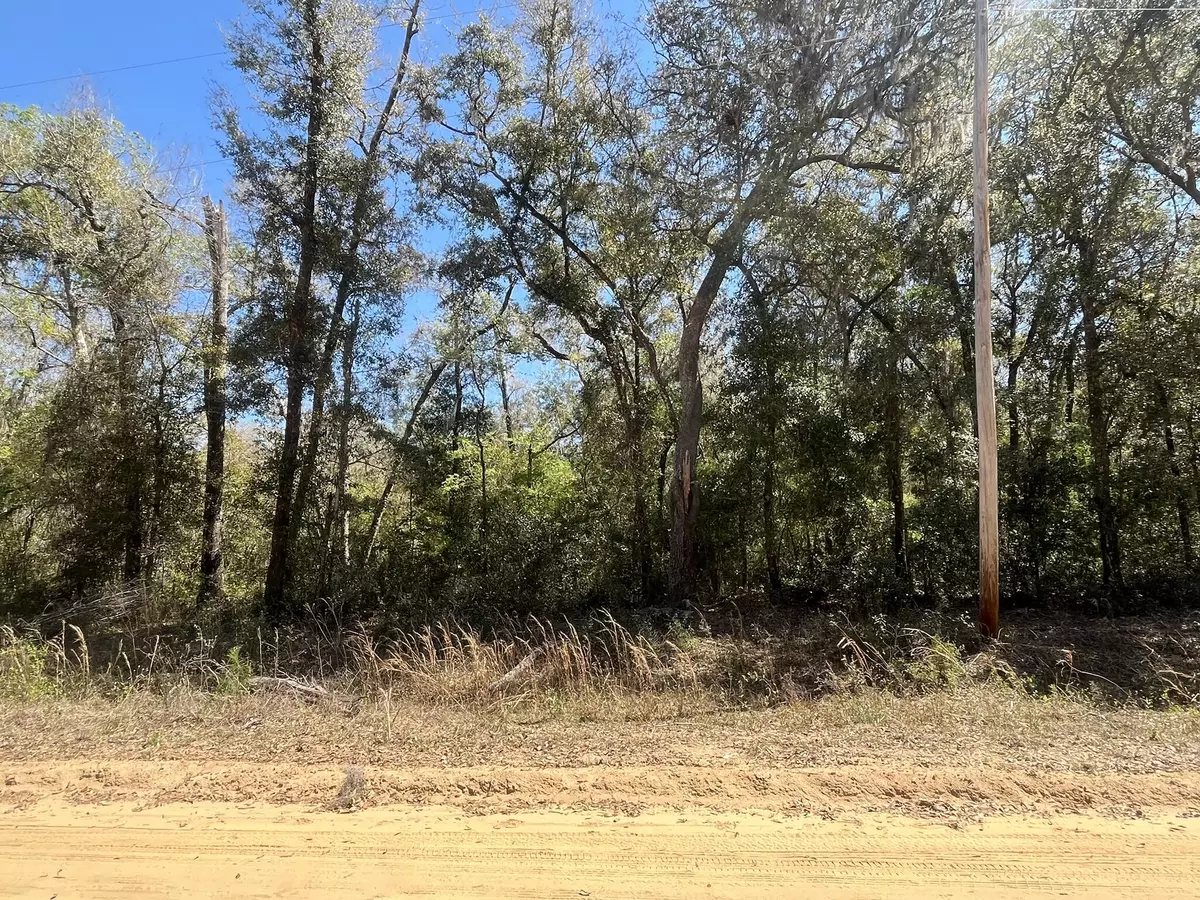 Interlachen, FL 32148,Tbd Walker DR