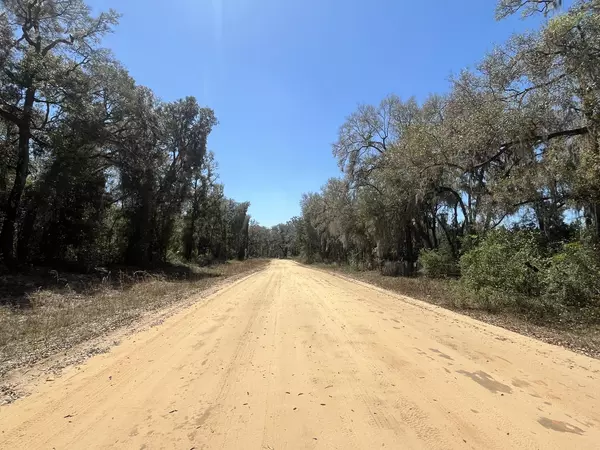 Interlachen, FL 32148,Tbd Walker DR