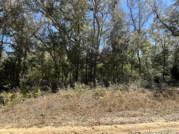 Interlachen, FL 32148,Tbd Walker DR