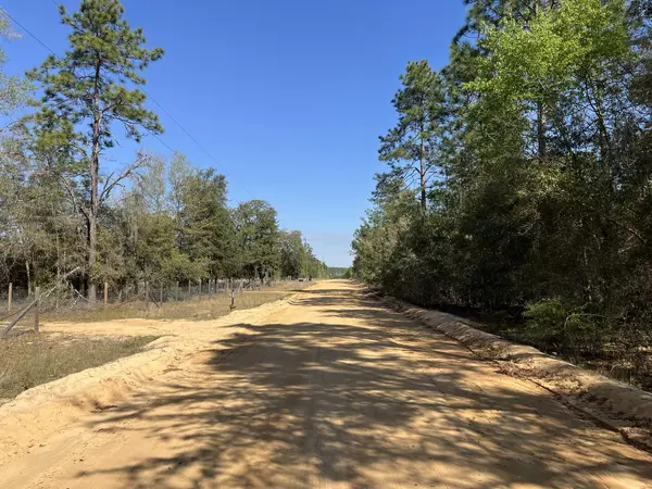 Interlachen, FL 32148,Tbd Lily DR