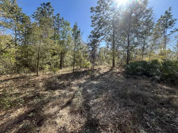 Interlachen, FL 32148,Tbd Lily DR