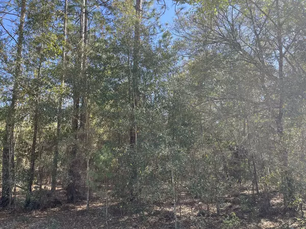 Interlachen, FL 32148,Tbd Lily DR