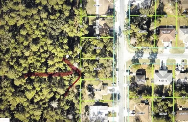 3463 Jason RD, Spring Hill, FL 34608