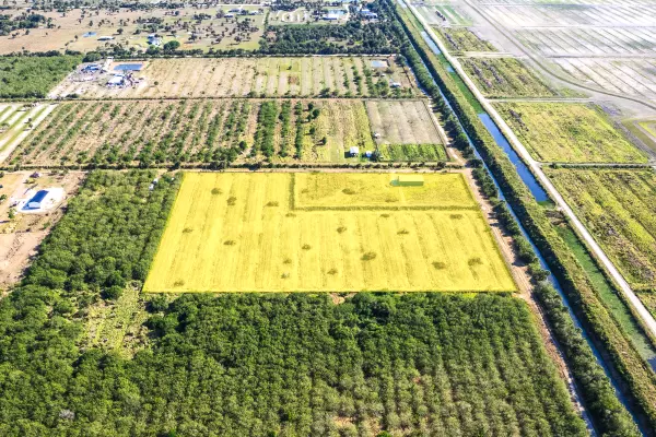 Fellsmere, FL 32948,15350 111th ST