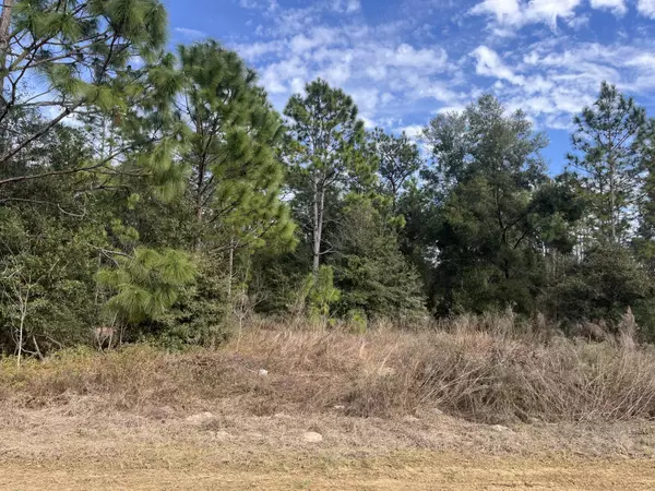 8681 N Reina LOOP, Crystal River, FL 34428