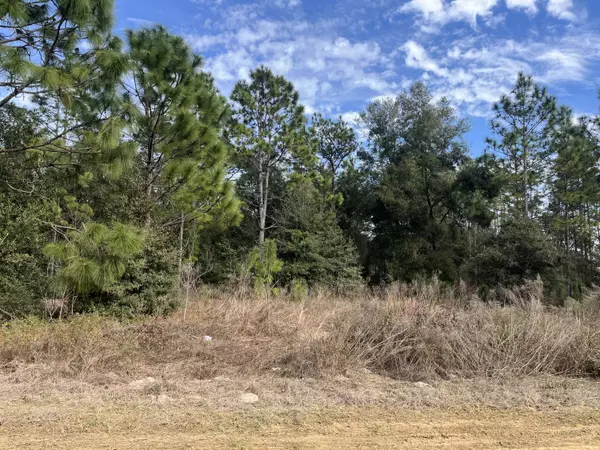 Crystal River, FL 34428,8681 N Reina LOOP