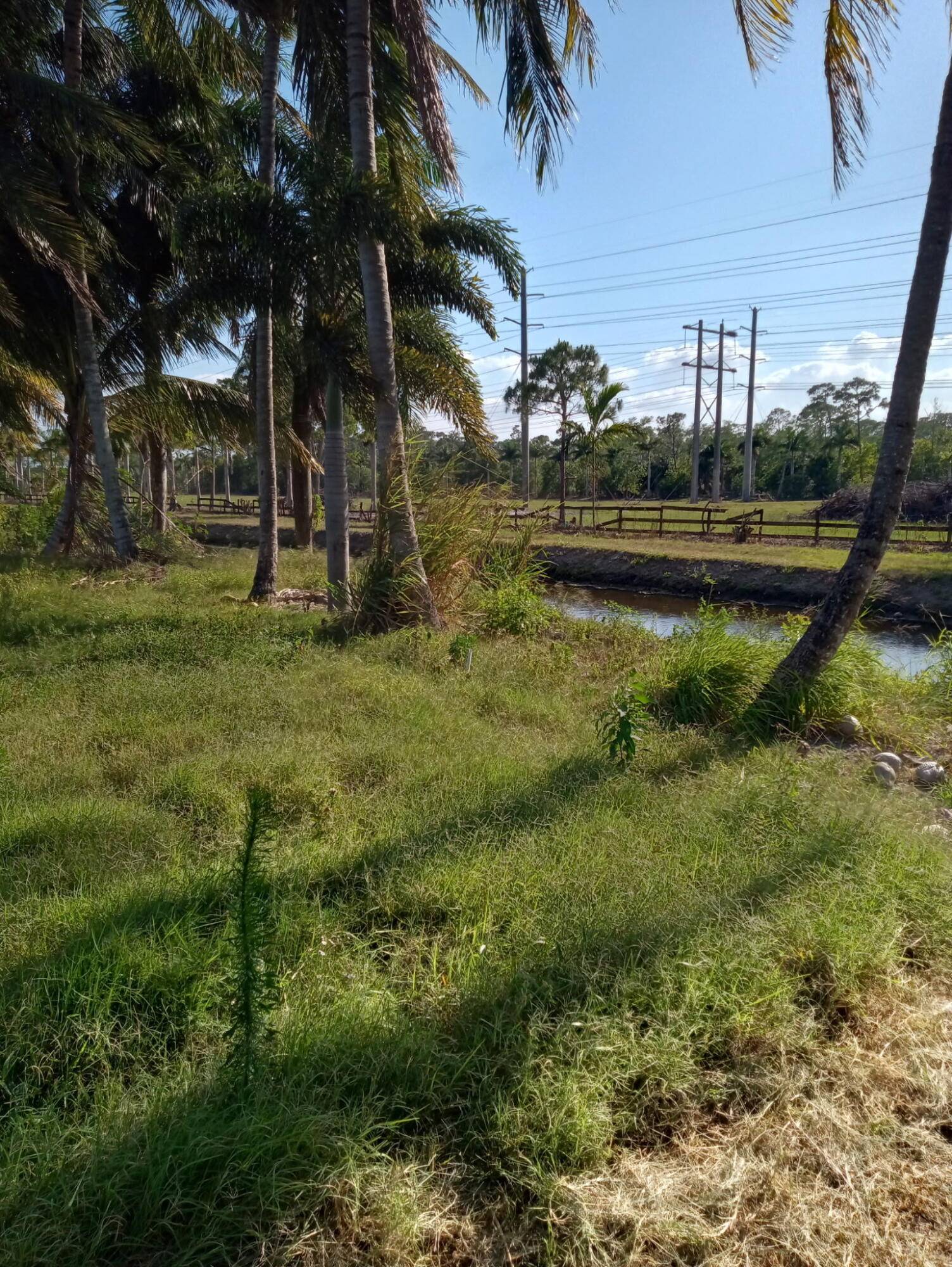 Lake Worth, FL 33449,6561 W Park LN