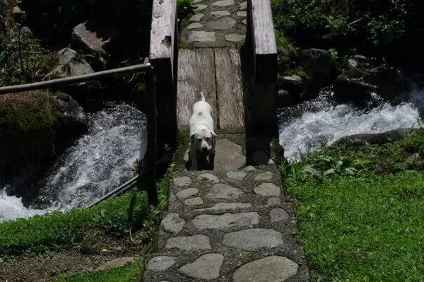 Out Of Country, 00000,28 Provincia De Coronado